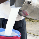 भारत का डेयरी सफर