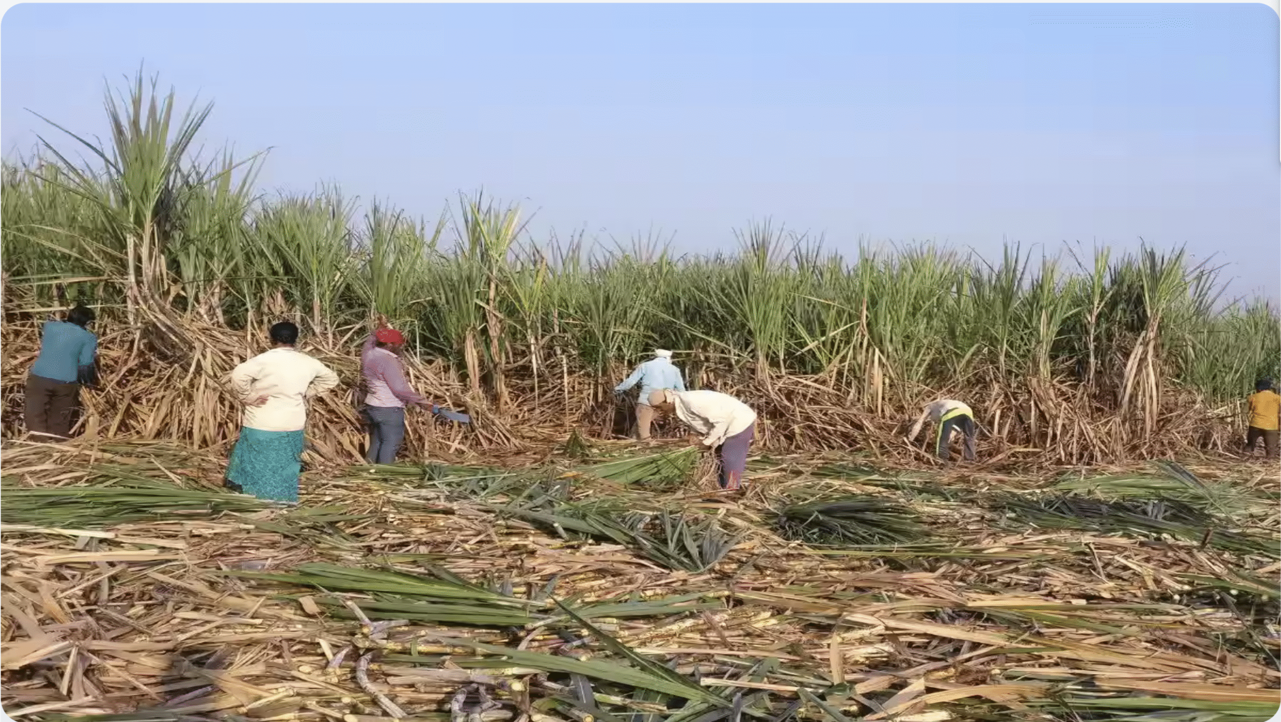 कर्नाटक