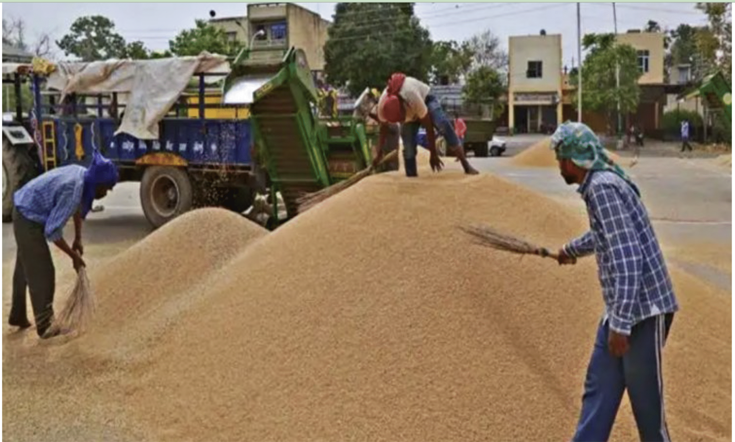 पंजाब-हरियाणा में सबसे ज्यादा आवक
