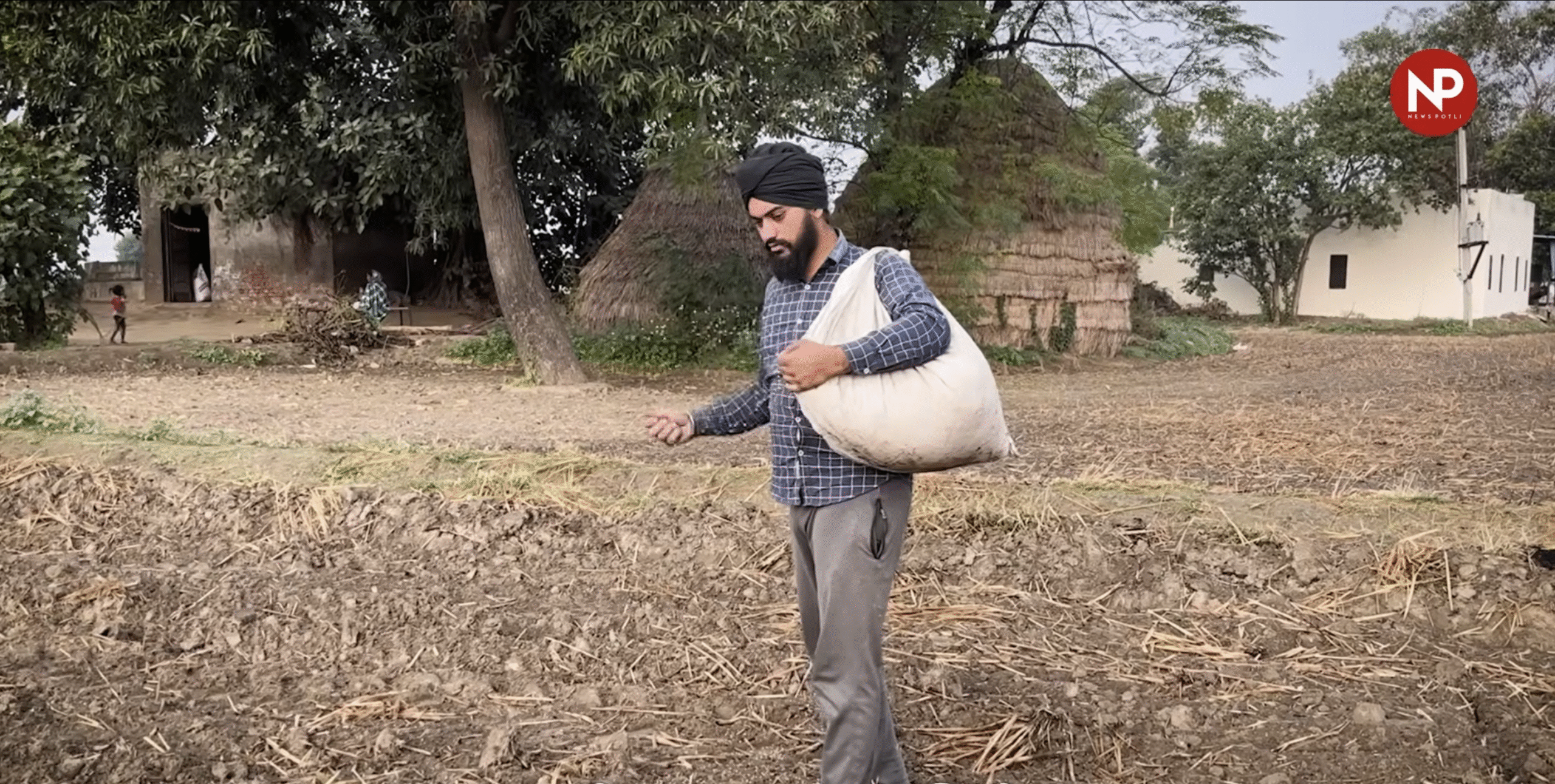पंजाब में बाढ़ और बारिश से गेहूं की बुवाई पीछे