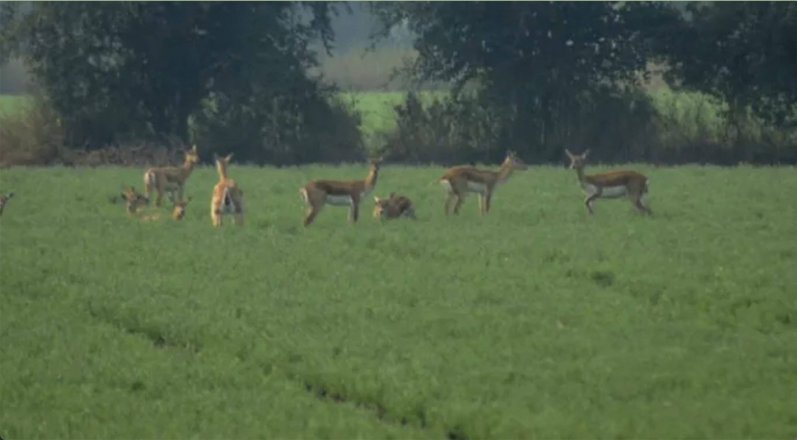 PMFBY में बड़े बदलाव