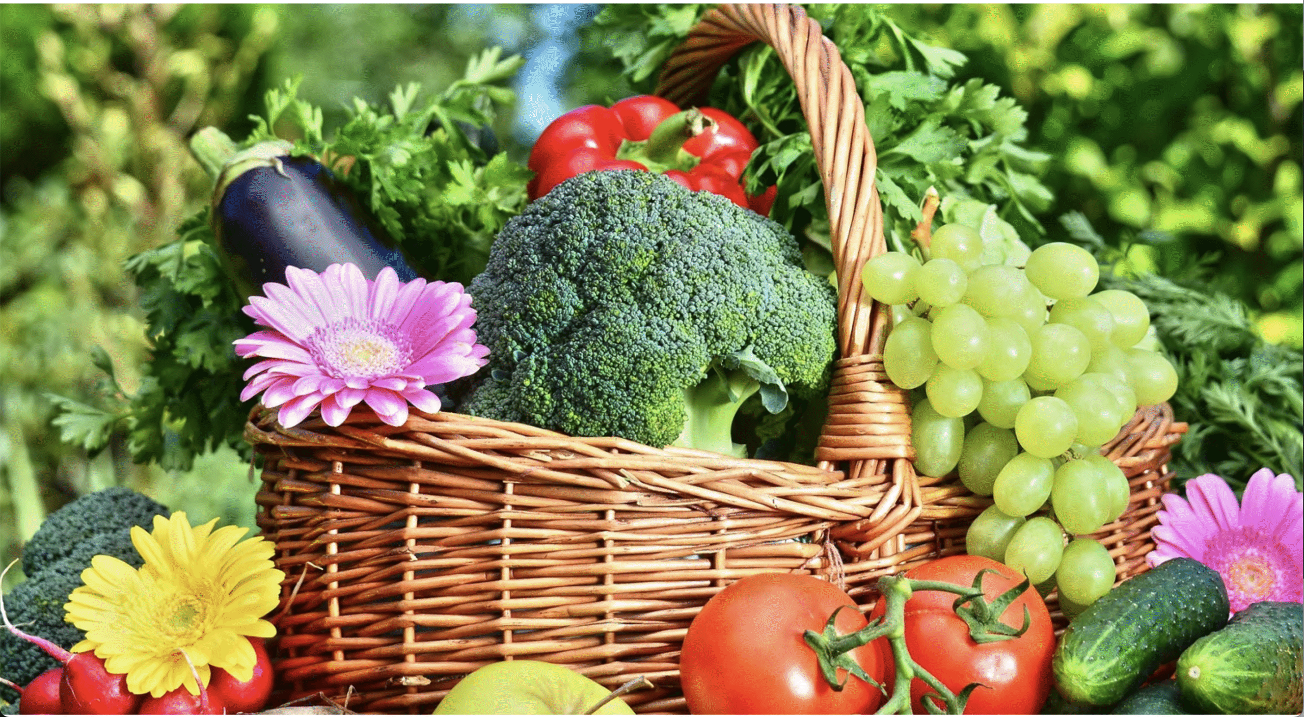 भारत में बागवानी उत्पादन नए रिकॉर्ड की ओ