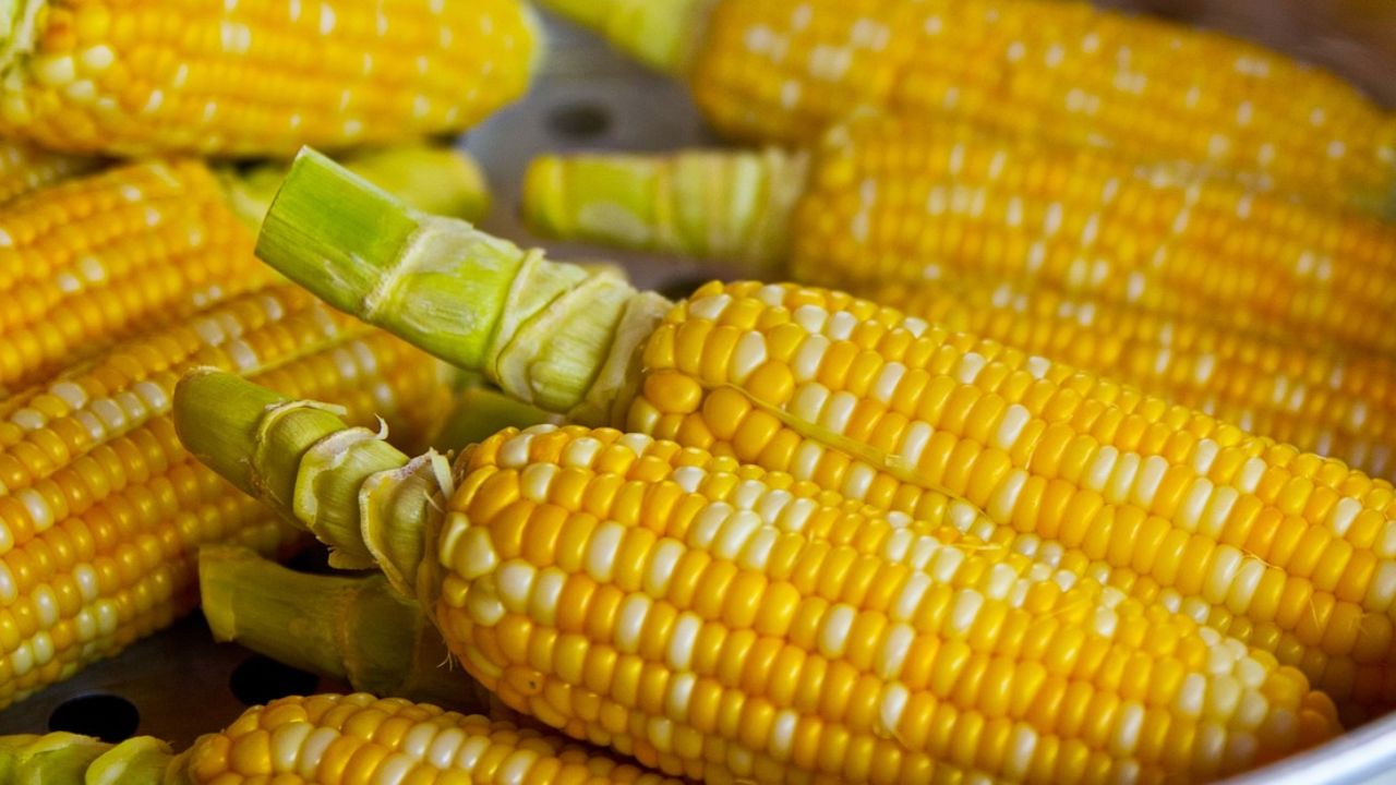 तेलंगाना में किसानों को बड़ी राहत