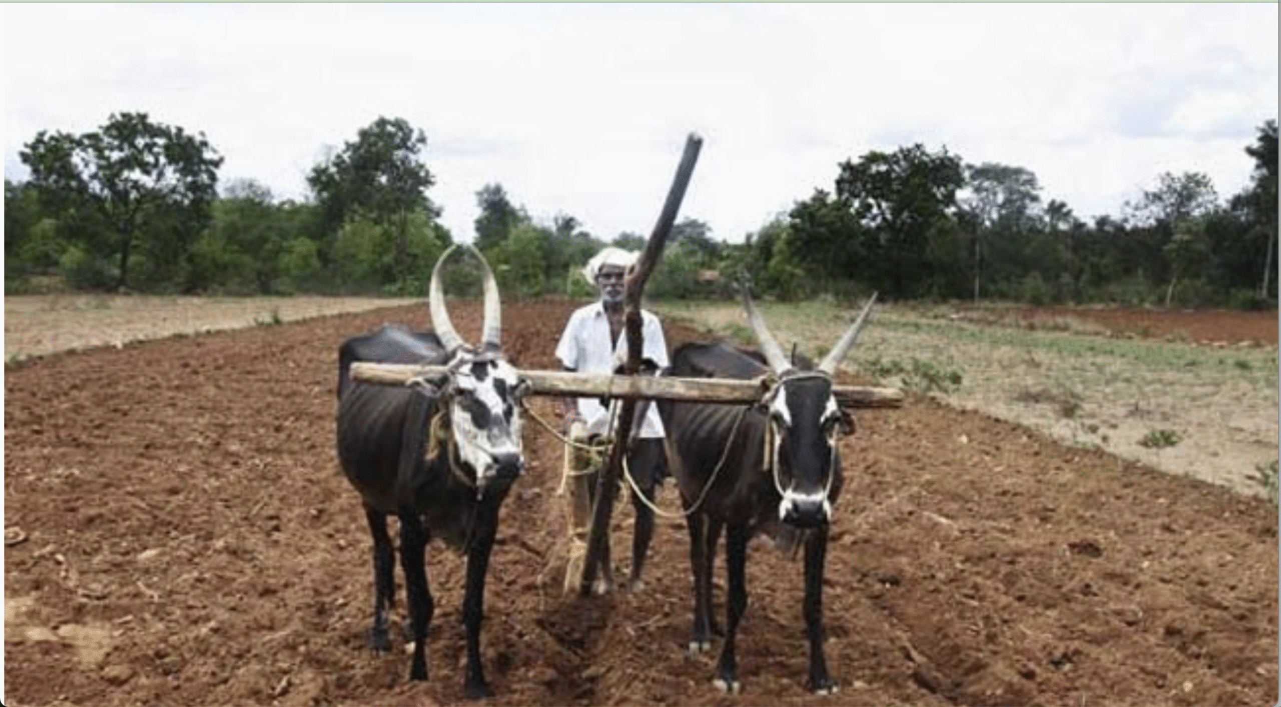 महाराष्ट्र में किसानों के कर्ज का मामला फिर चर्चा में