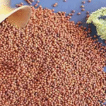 यूपी सरकार