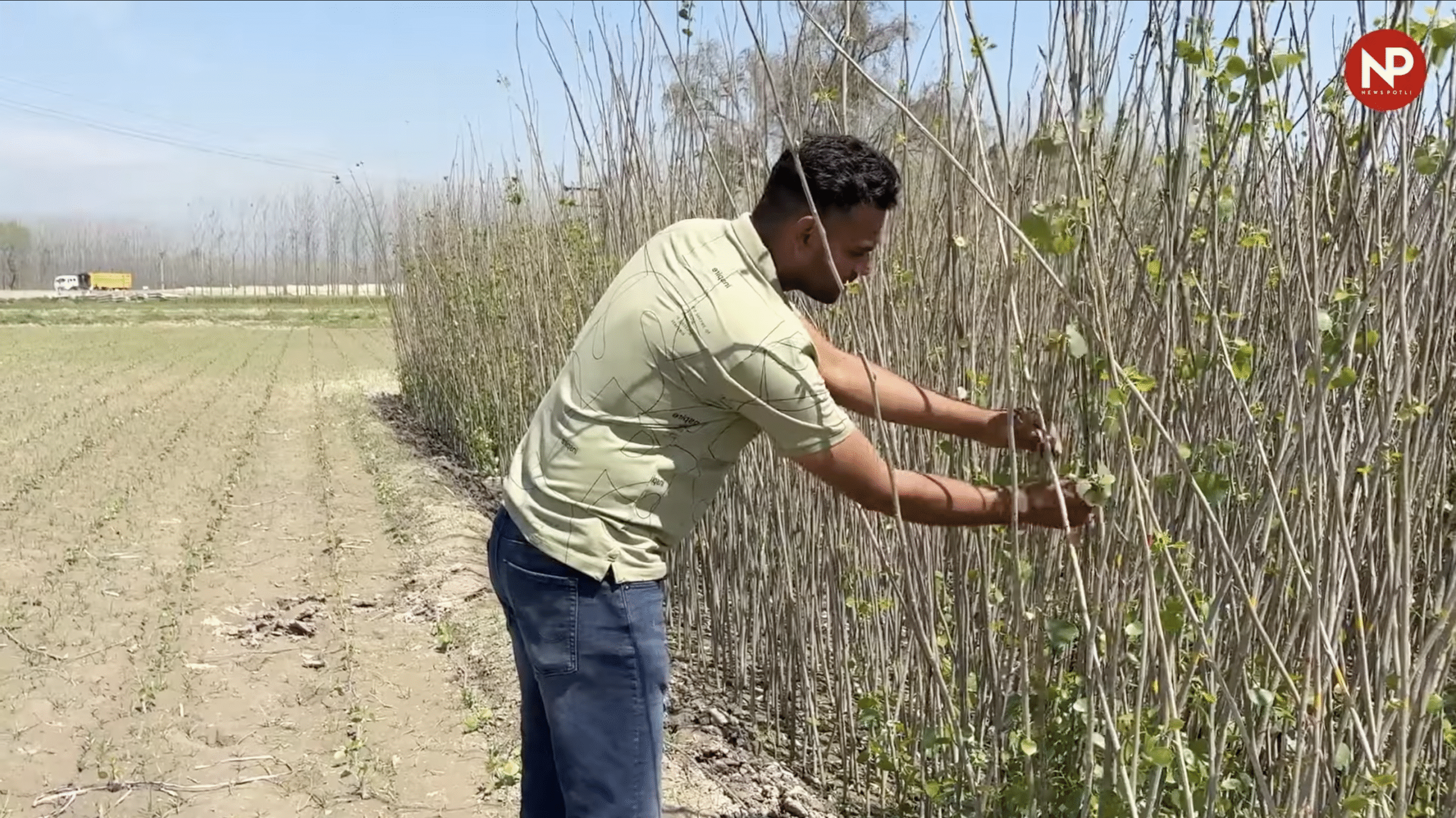 31 दिसंबर तक कराएं फसल बीमा