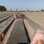 PMDDKY योजना में आवेदन शुरू