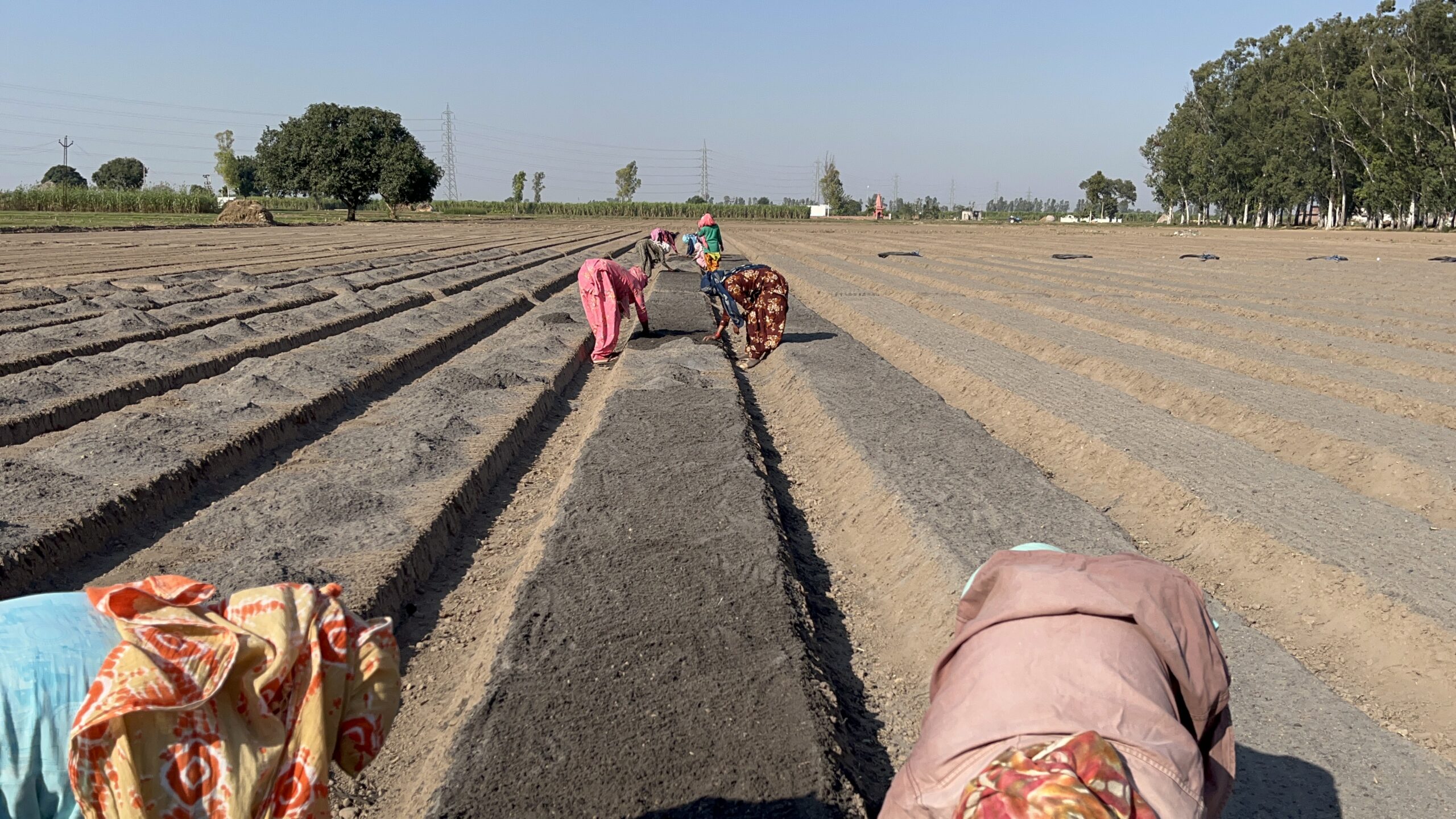 PMDDKY योजना में आवेदन शुरू