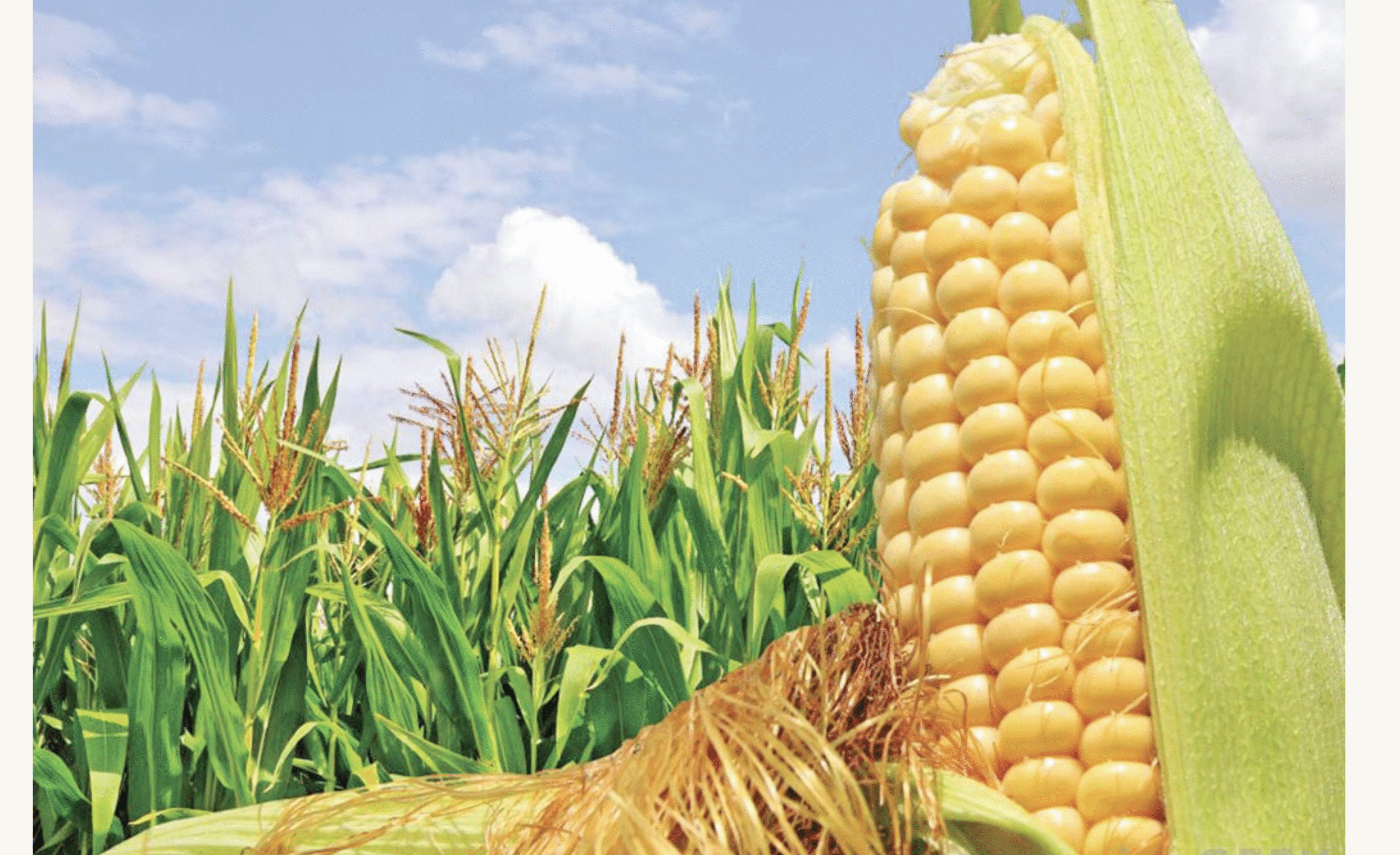 जम्मू-कश्मीर