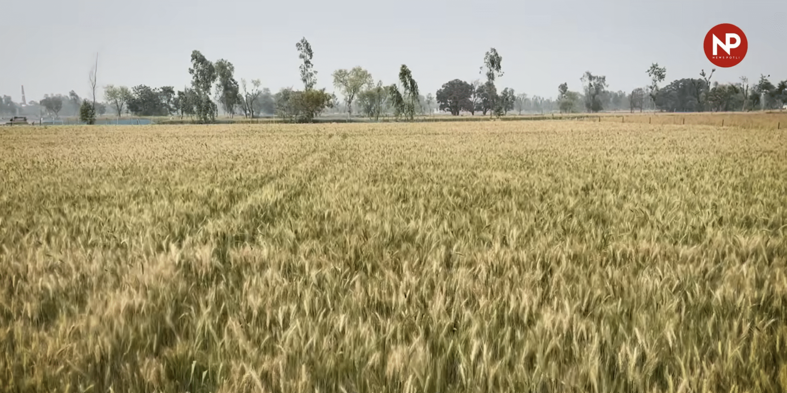 अब 31 दिसंबर तक करें आवेदन