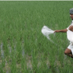 इंपोर्ट में 41% की बढ़ोतरी का अनुमान