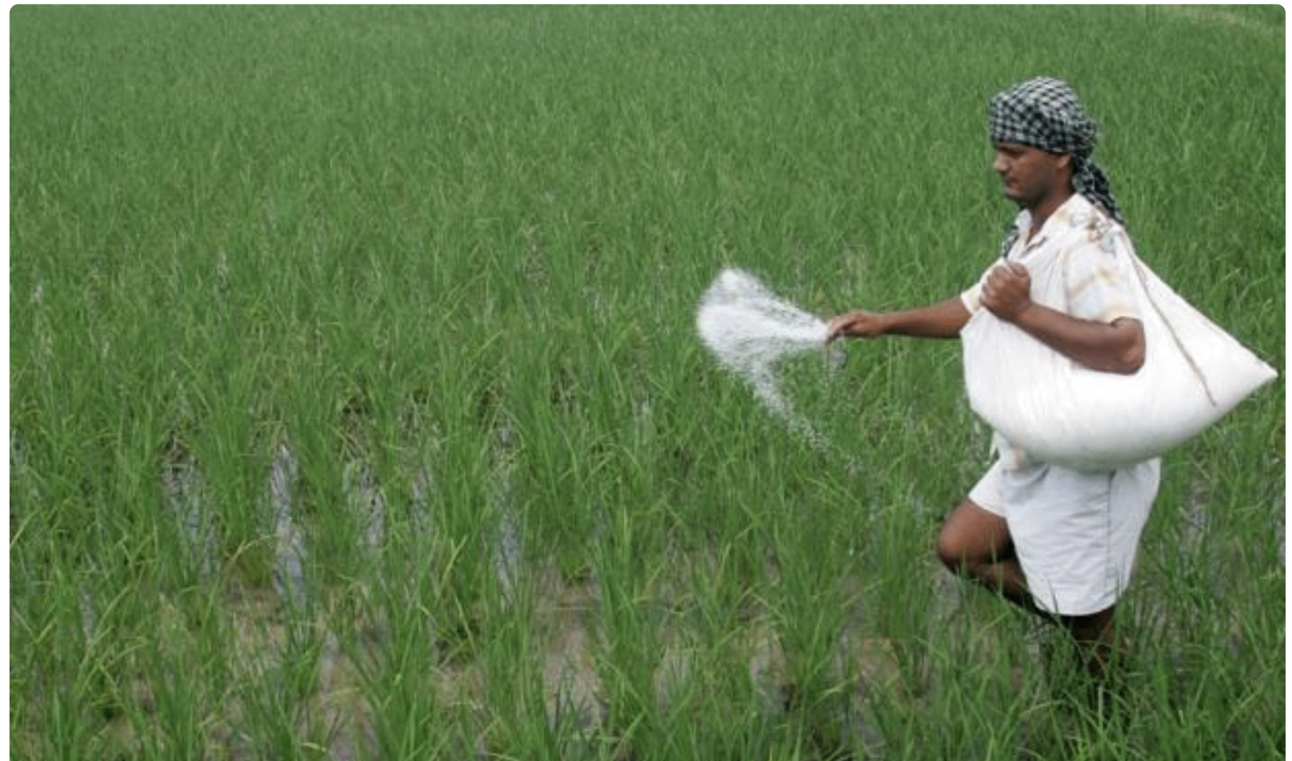 इंपोर्ट में 41% की बढ़ोतरी का अनुमान