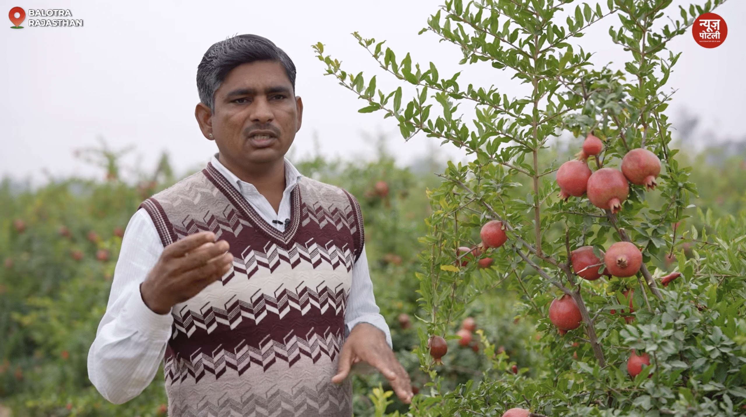 ड्रिप इरिगेशन और टिशू कल्चर का कमाल,