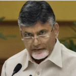 फसल कैलेंडर