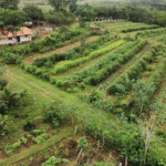 पर्माकल्चर आधारित खेती