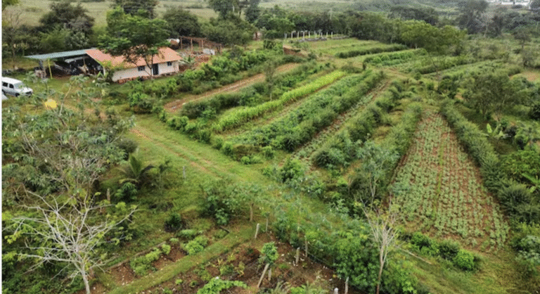 पर्माकल्चर आधारित खेती