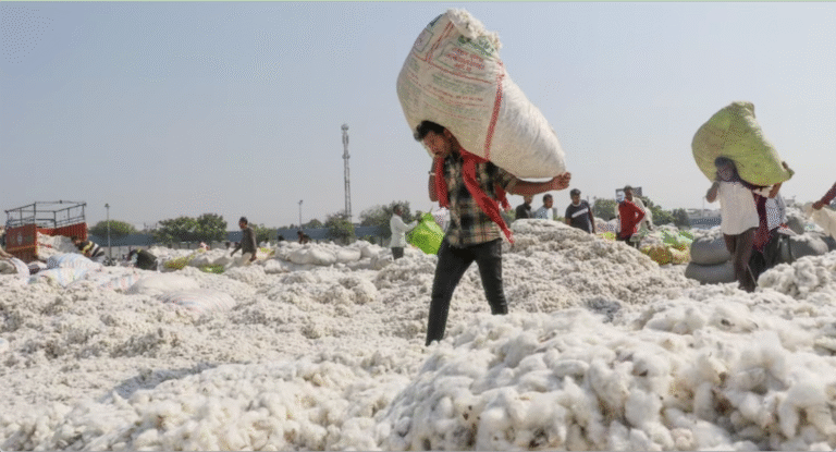 CAI की अपील