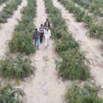 कृषि बजट बढ़ाने की सिफारिश