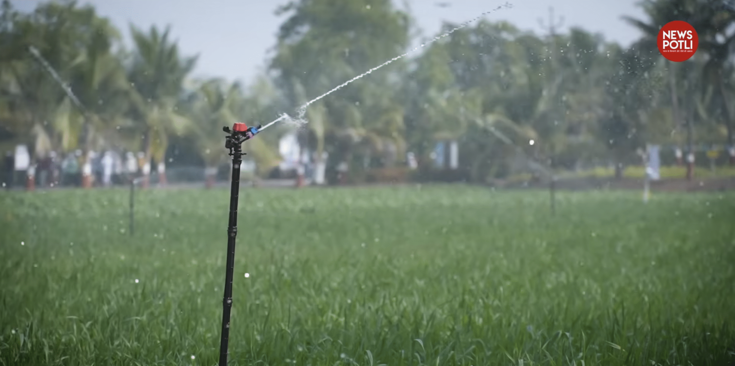 पाला और शीतलहर से फसल कैसे बचाएं?