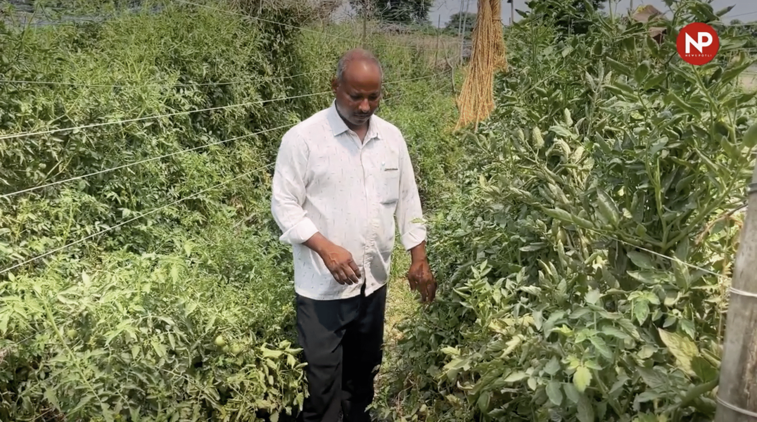 जलवायु परिवर्तन