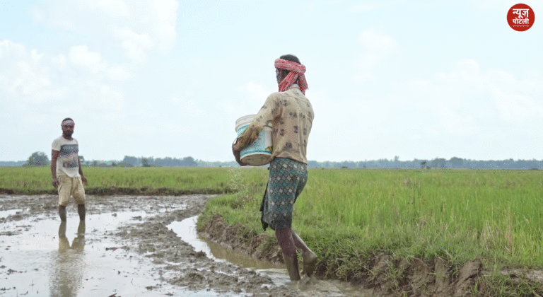 राजस्थान में बीमा सबसे ज्यादा