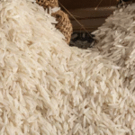 पीलीभीत