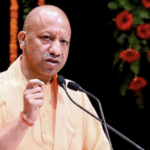 सॉइल टू सिल्क