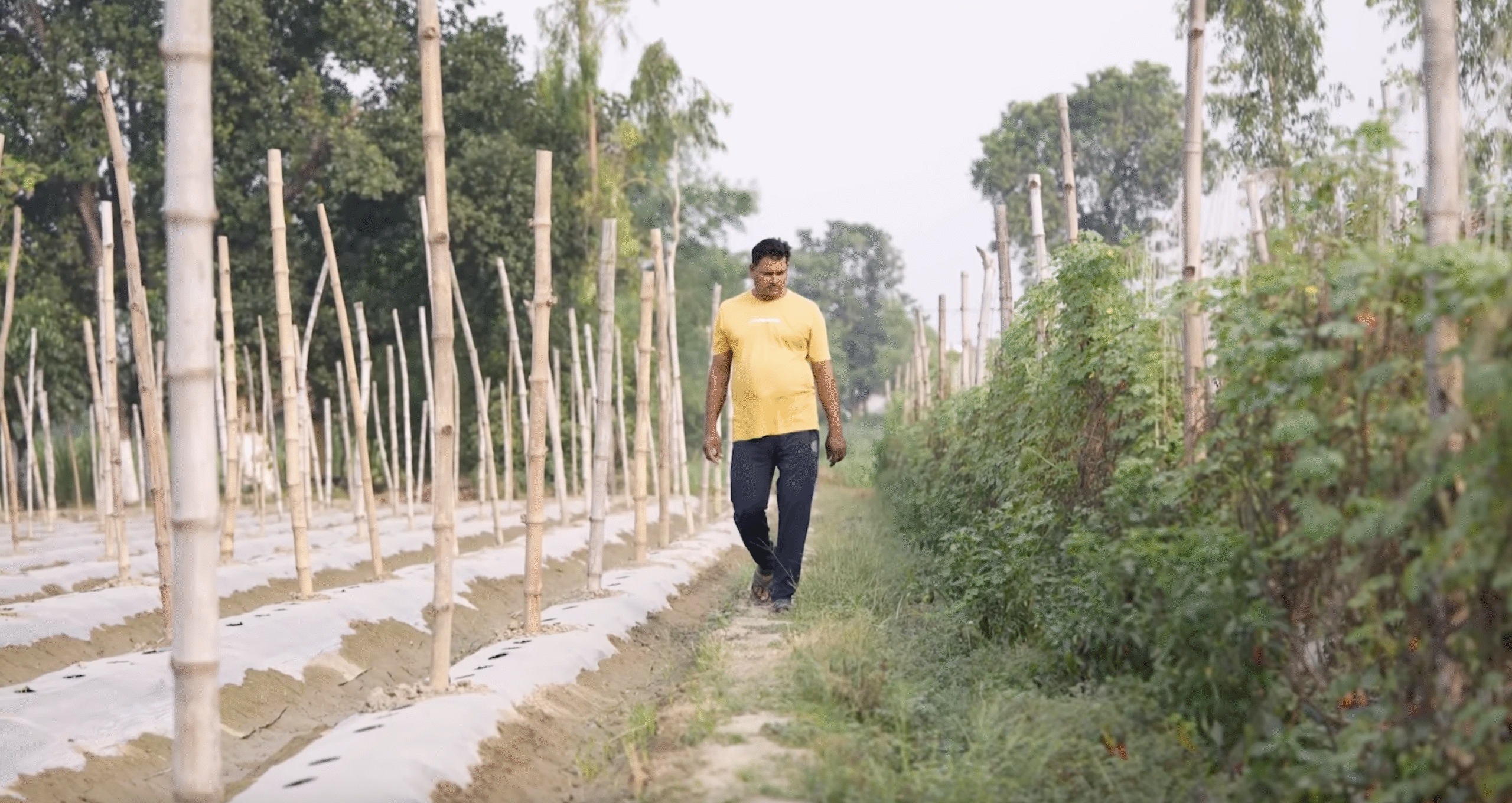 कमाई का मॉडल