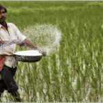 यूरिया नीति