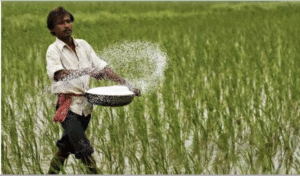 यूरिया नीति