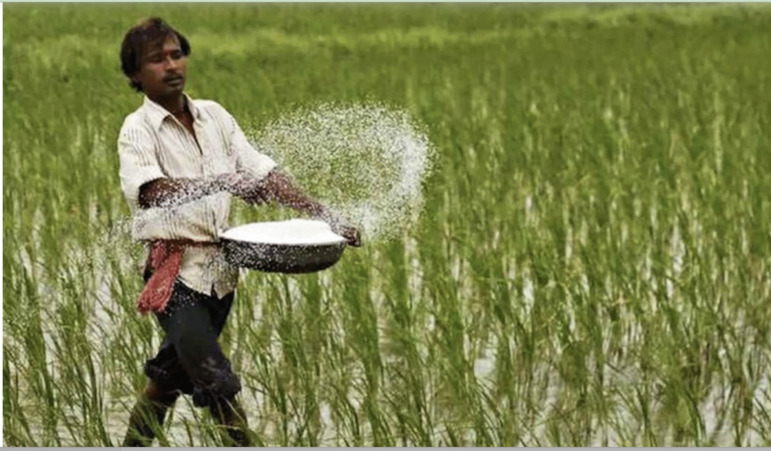 यूरिया नीति