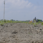 राष्ट्रीय मिट्टी स्वास्थ्य नीति