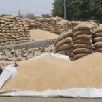 अनाज के लिए अधिक स्टोरेज बनाएं