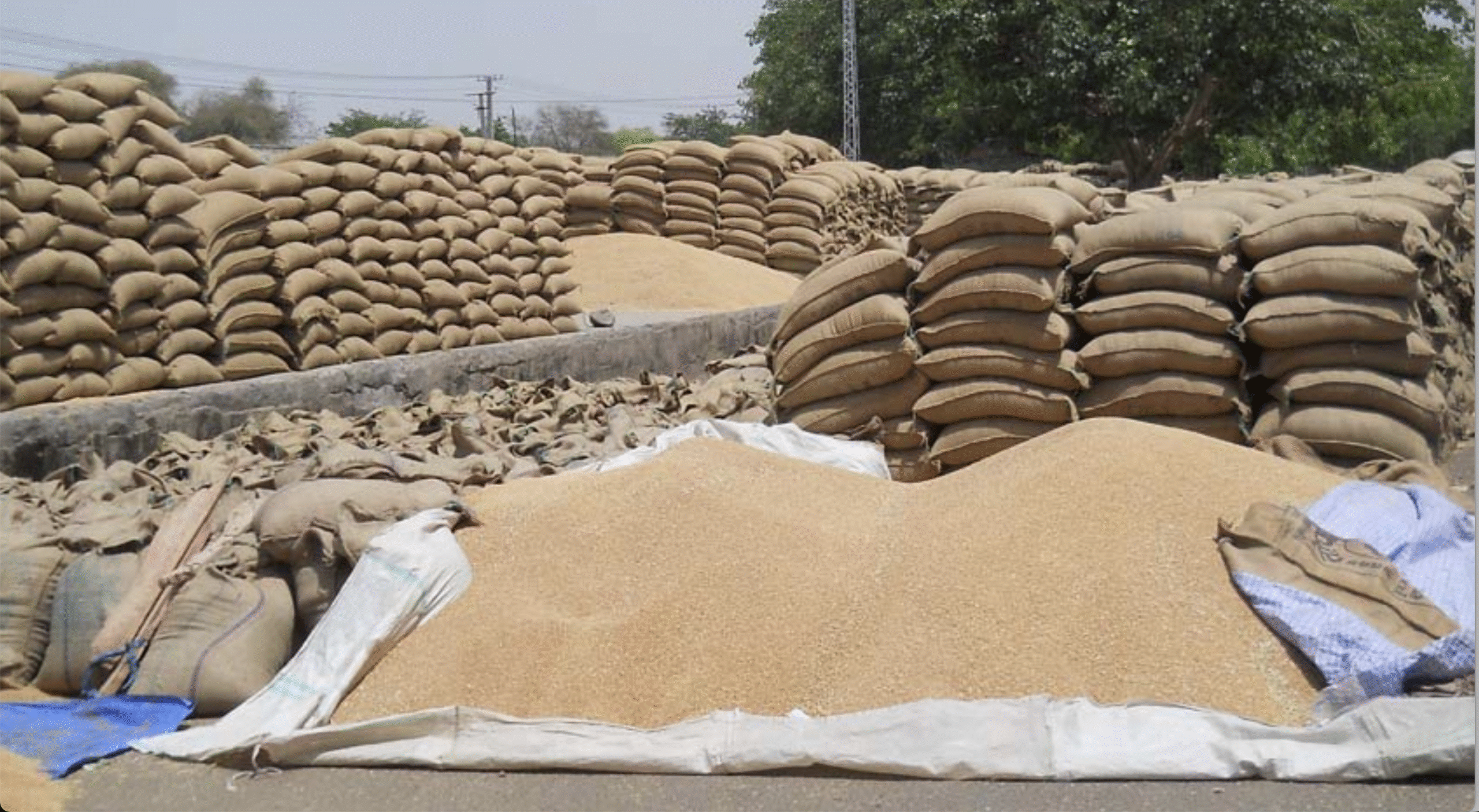 अनाज के लिए अधिक स्टोरेज बनाएं