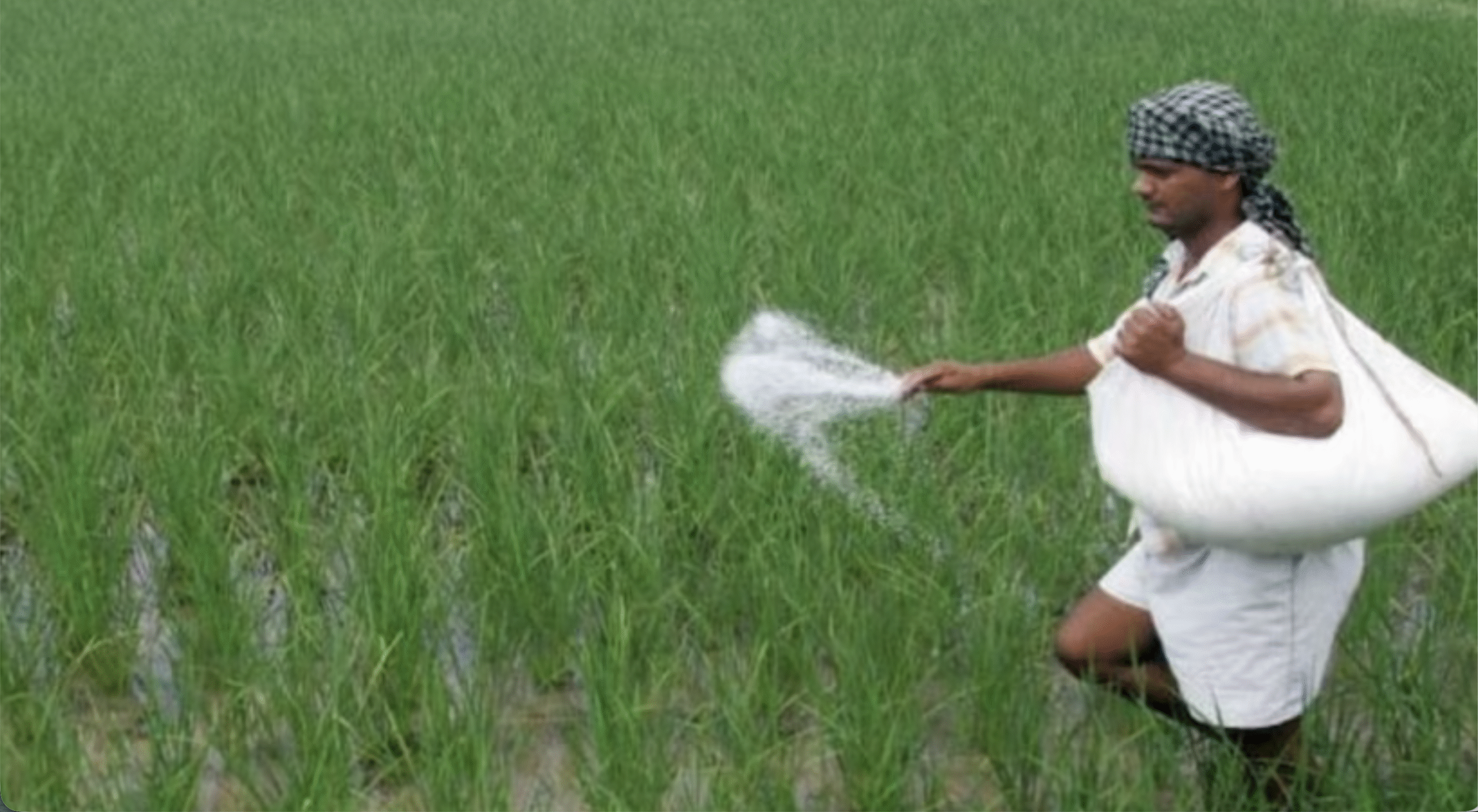 आर्थिक सर्वेक्षण 2025-26