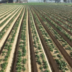 कृषि विशेषज्ञ