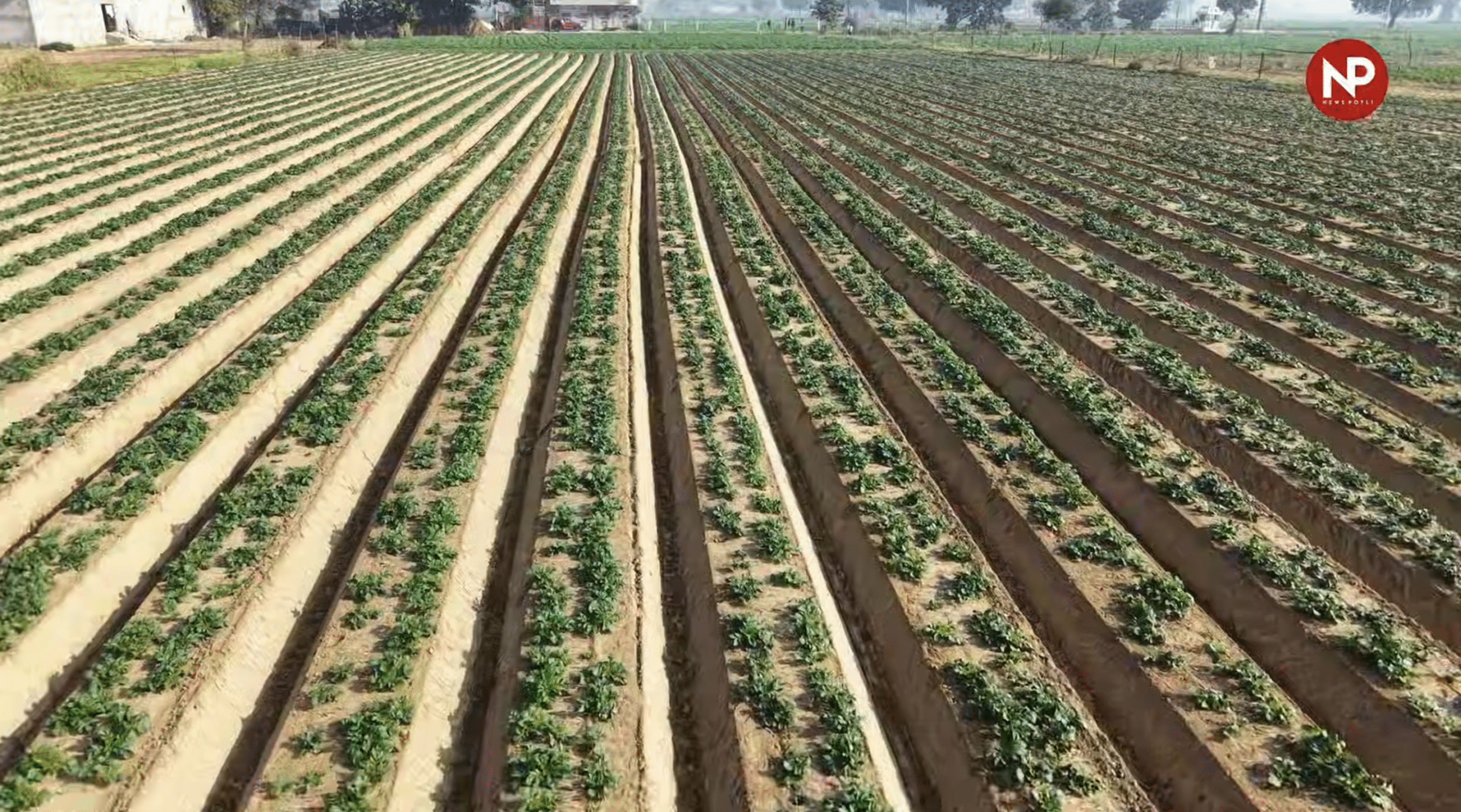 कृषि विशेषज्ञ