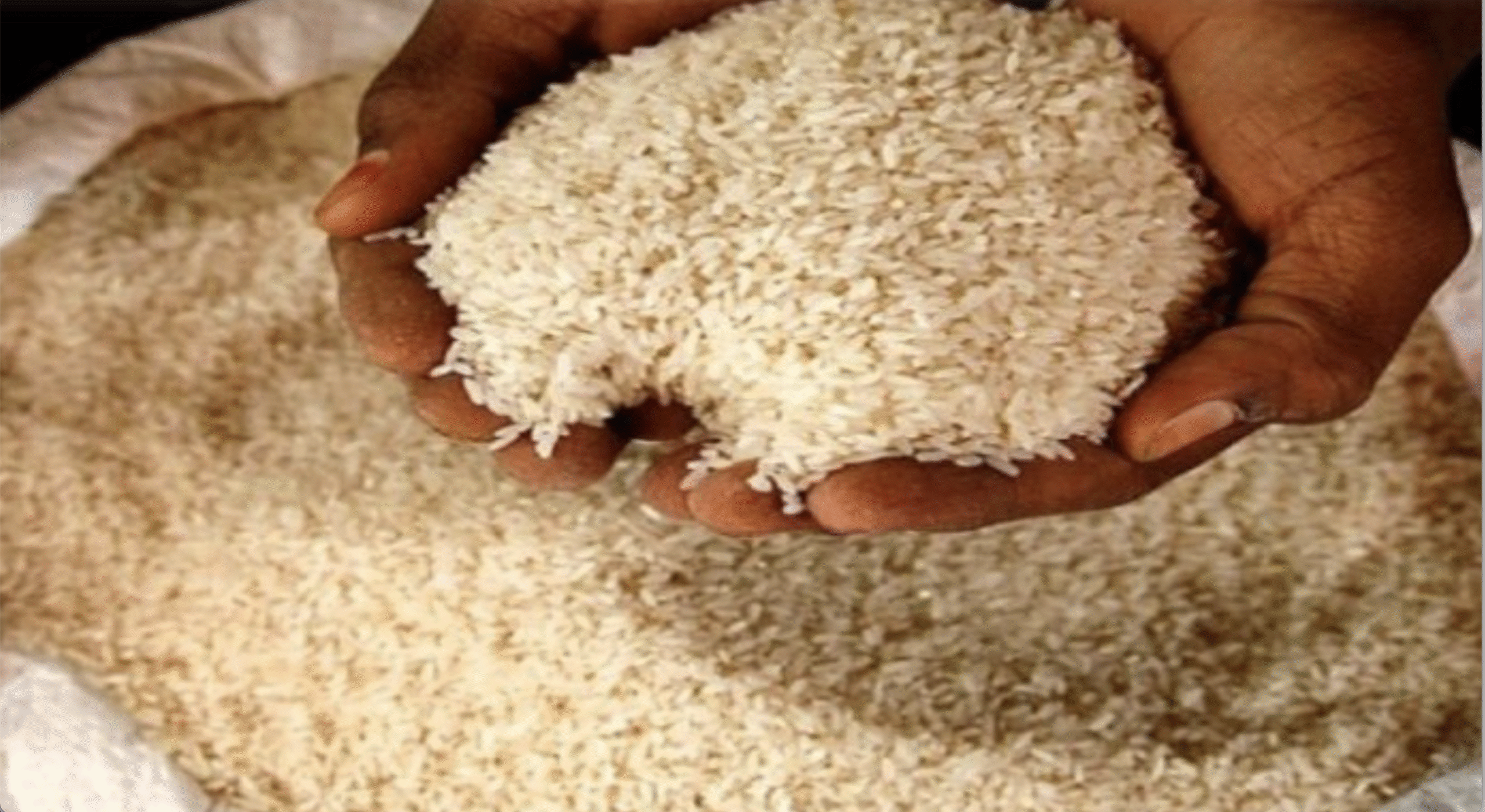 भारत बना दुनिया का सबसे बड़ा चावल उत्पादक