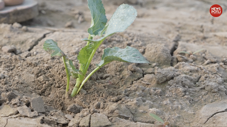 soil health