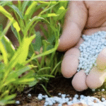 सभी उर्वरकों पर 5% जीएसटी की मांग