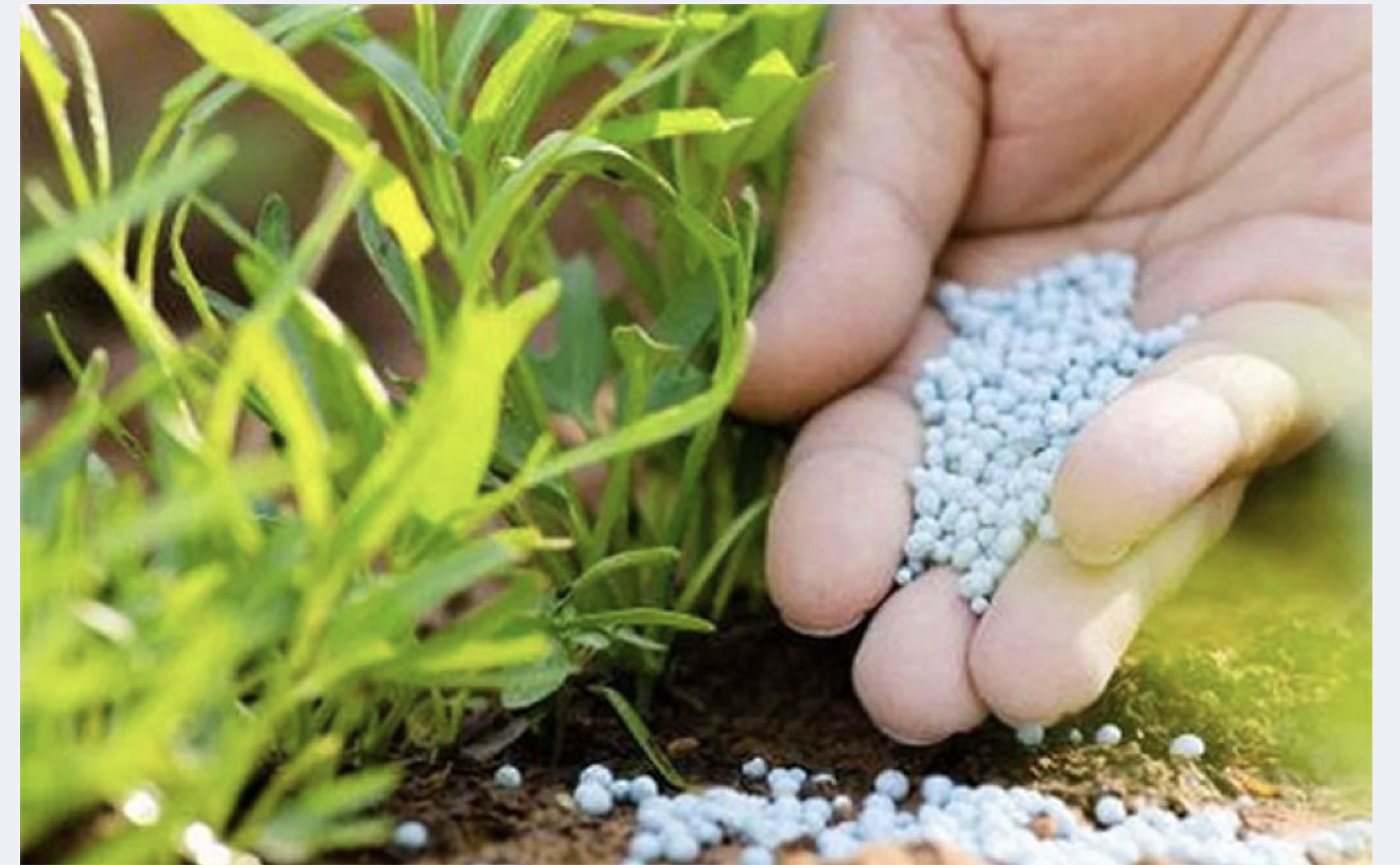 सभी उर्वरकों पर 5% जीएसटी की मांग