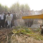 मिनी केन हारवेस्टर