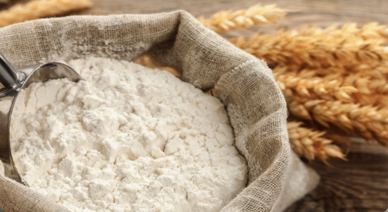 21 से 31 जनवरी 2026 तक खुलेंगे गेहूं उत्पाद निर्यात के आवेदन