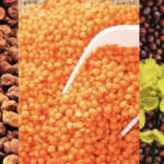 छत्तीसगढ़ के PSS प्रस्तावों को मंजूरी