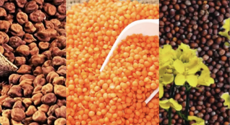 छत्तीसगढ़ के PSS प्रस्तावों को मंजूरी