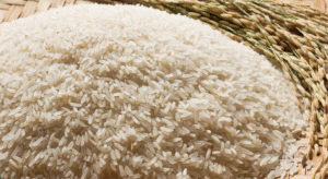 भारत से चावल का निर्यात