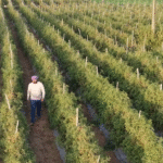 10 साल में 26% बढ़ी बागवानी,