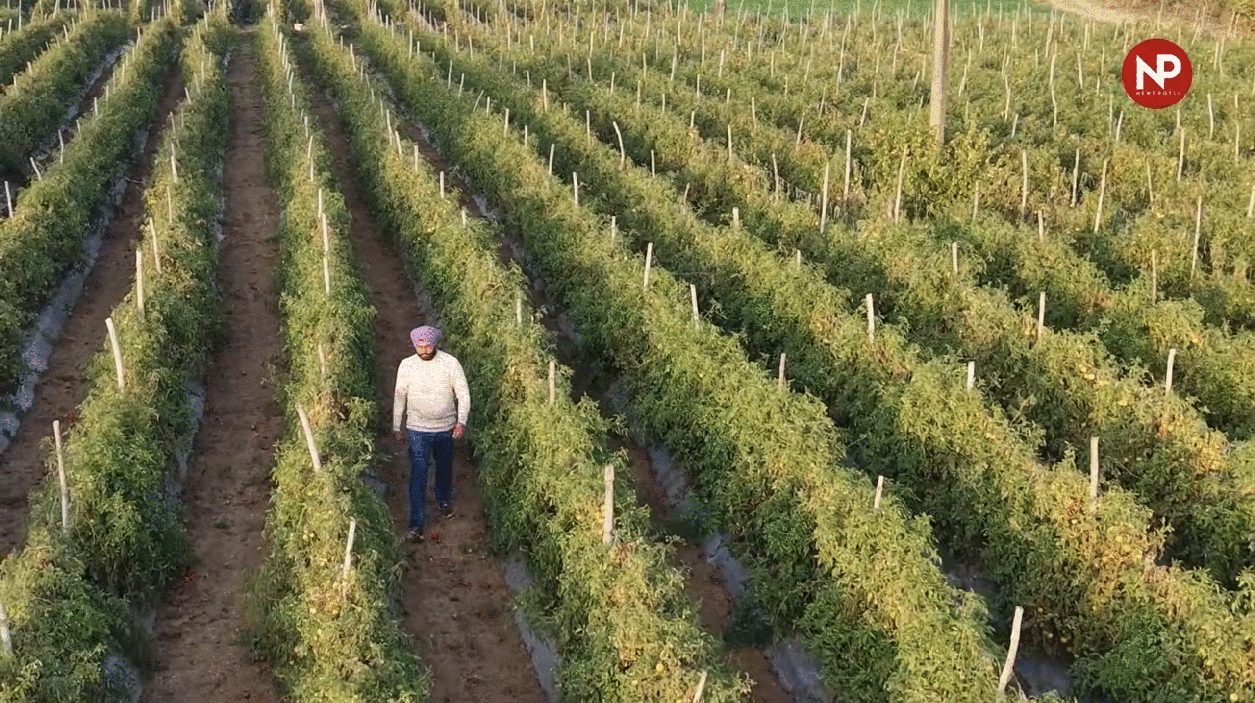 10 साल में 26% बढ़ी बागवानी,