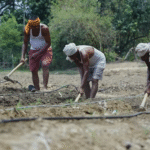 कृषि विभाग में 694 पदों पर बहाली को मंजूरी