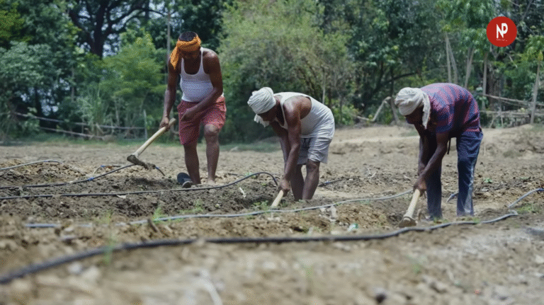 बिहार कैबिनेट के बड़े फैसले, कृषि विभाग में 694 पदों पर बहाली को मंजूरी